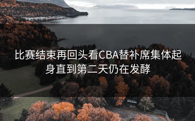 比赛结束再回头看CBA替补席集体起身直到第二天仍在发酵