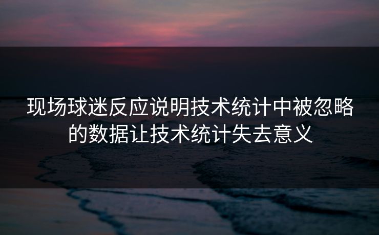 现场球迷反应说明技术统计中被忽略的数据让技术统计失去意义