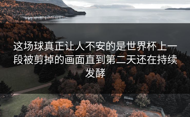 这场球真正让人不安的是世界杯上一段被剪掉的画面直到第二天还在持续发酵