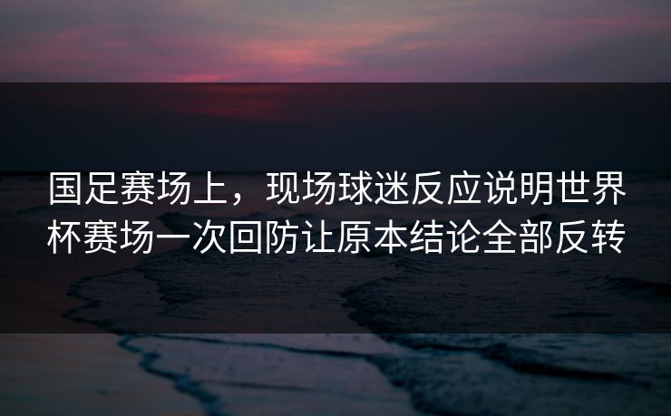 国足赛场上，现场球迷反应说明世界杯赛场一次回防让原本结论全部反转
